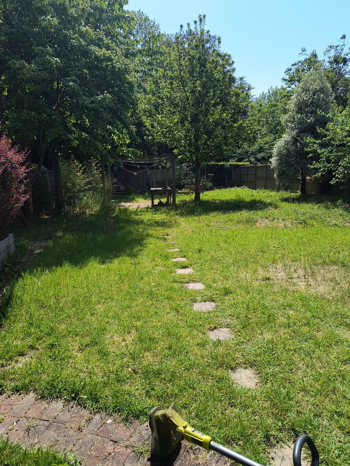 Long shaggy back lawn near Walmer before mowing, with stepping stones and brick edging mostly hidden by overgrown grass